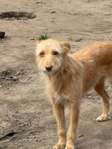 WhatsApp Image 2026-03-08 at 15.45.29