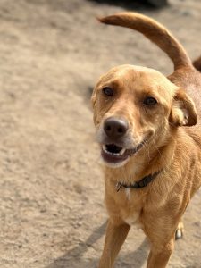 WhatsApp Image 2026-03-08 at 15.51.52 (1)