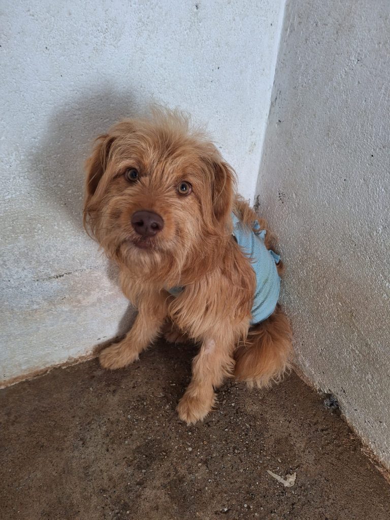 Max